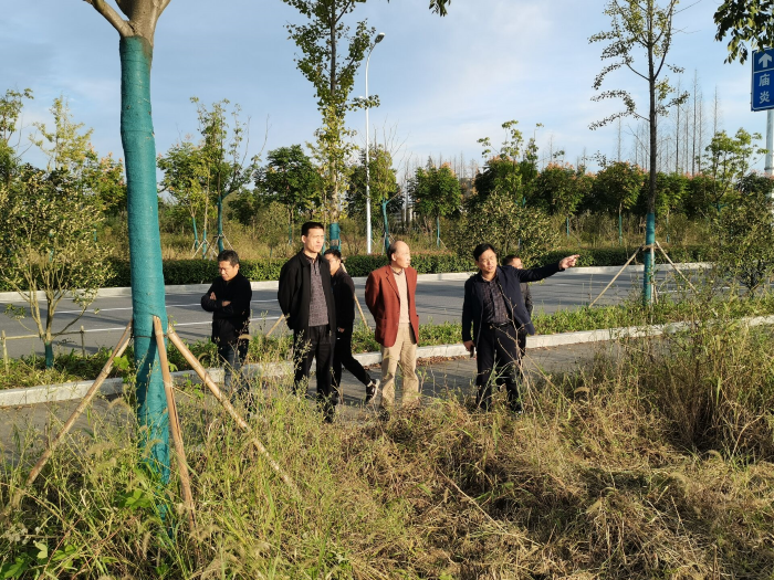 1634632733389007.png 新闻2.png