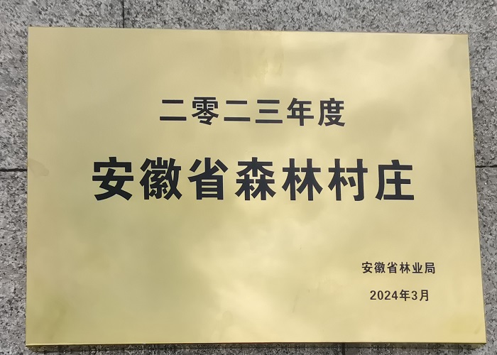 1710484893115733.jpg 【乡村振兴】张汪村荣获2023年安徽省森林村庄荣誉称号.jpg
