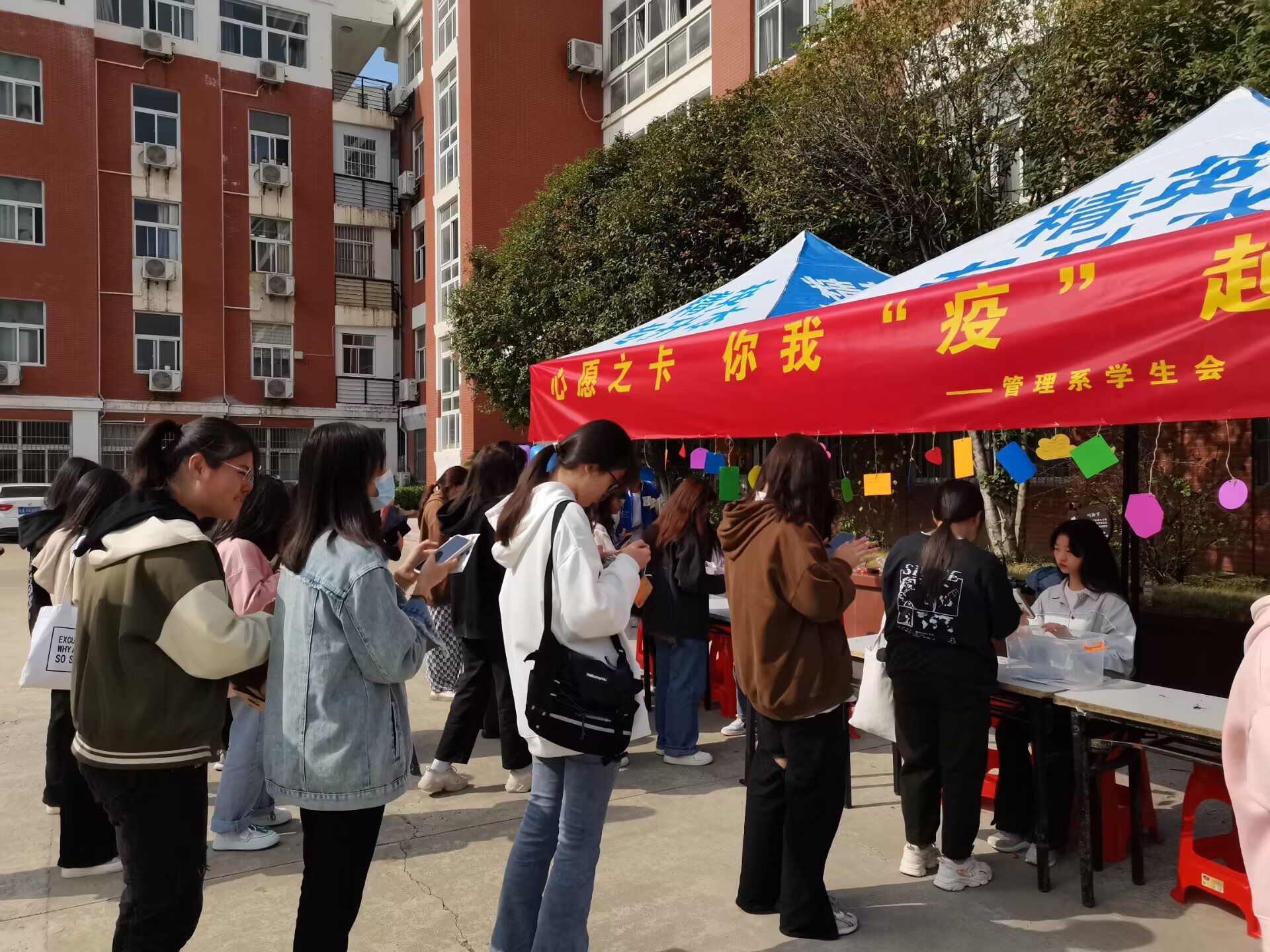 1667548944706581.jpg 1667548944706581.jpg