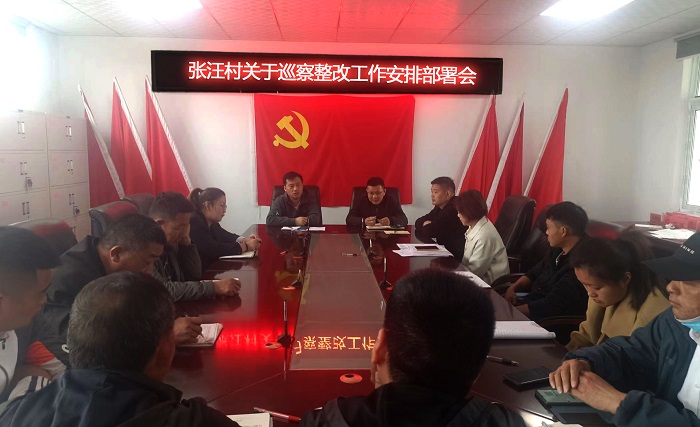 【乡村振兴】张汪村召开巡察整改部署会.jpg