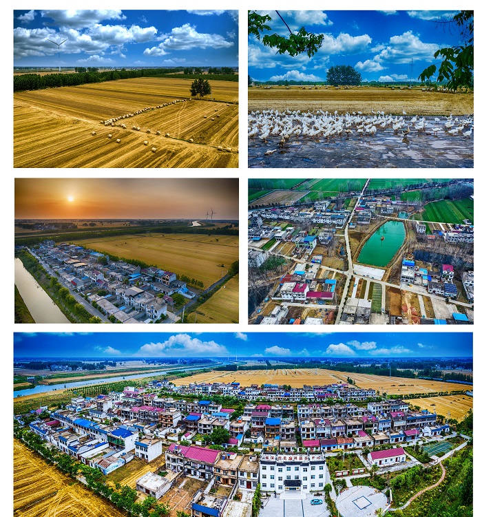 1710484910462290.jpg 张汪村.jpg