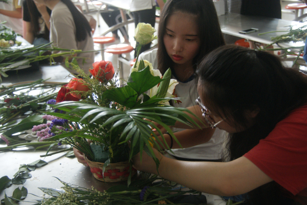 1495851275310517.jpg DSC04191.jpg